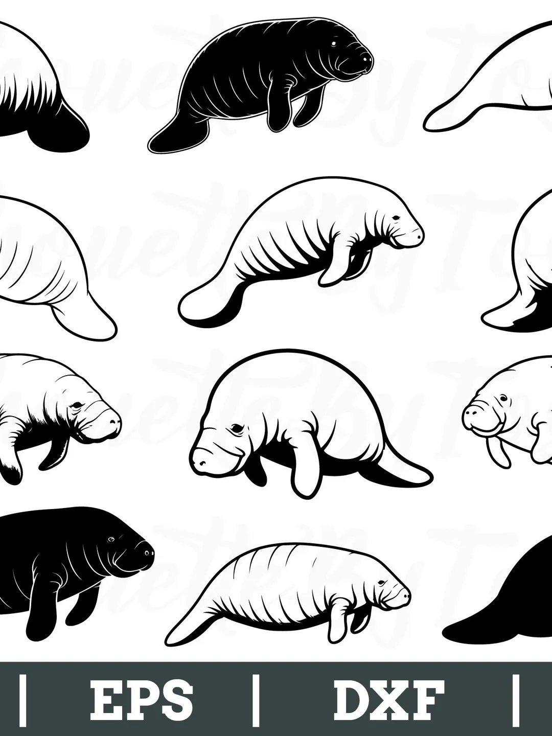 Manatee Svg, Manatee Silhouette, Manatee Cut File, Manatee Vector, Dxf, Png