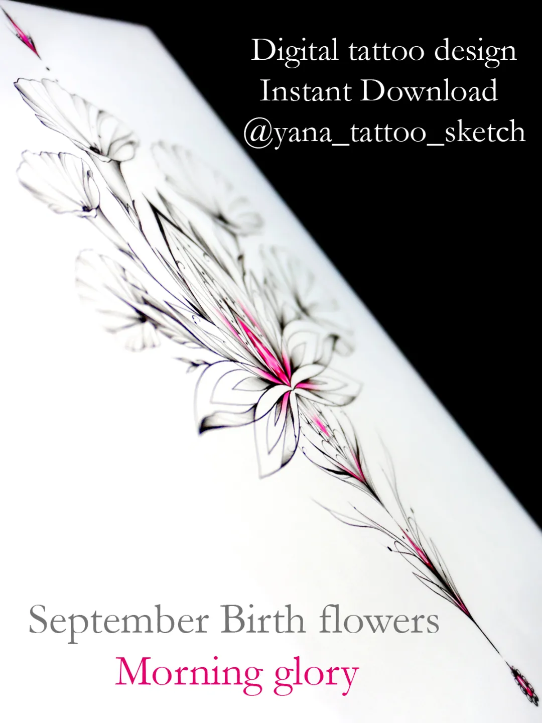 Aster and Morning Glory Tattoo Ideas