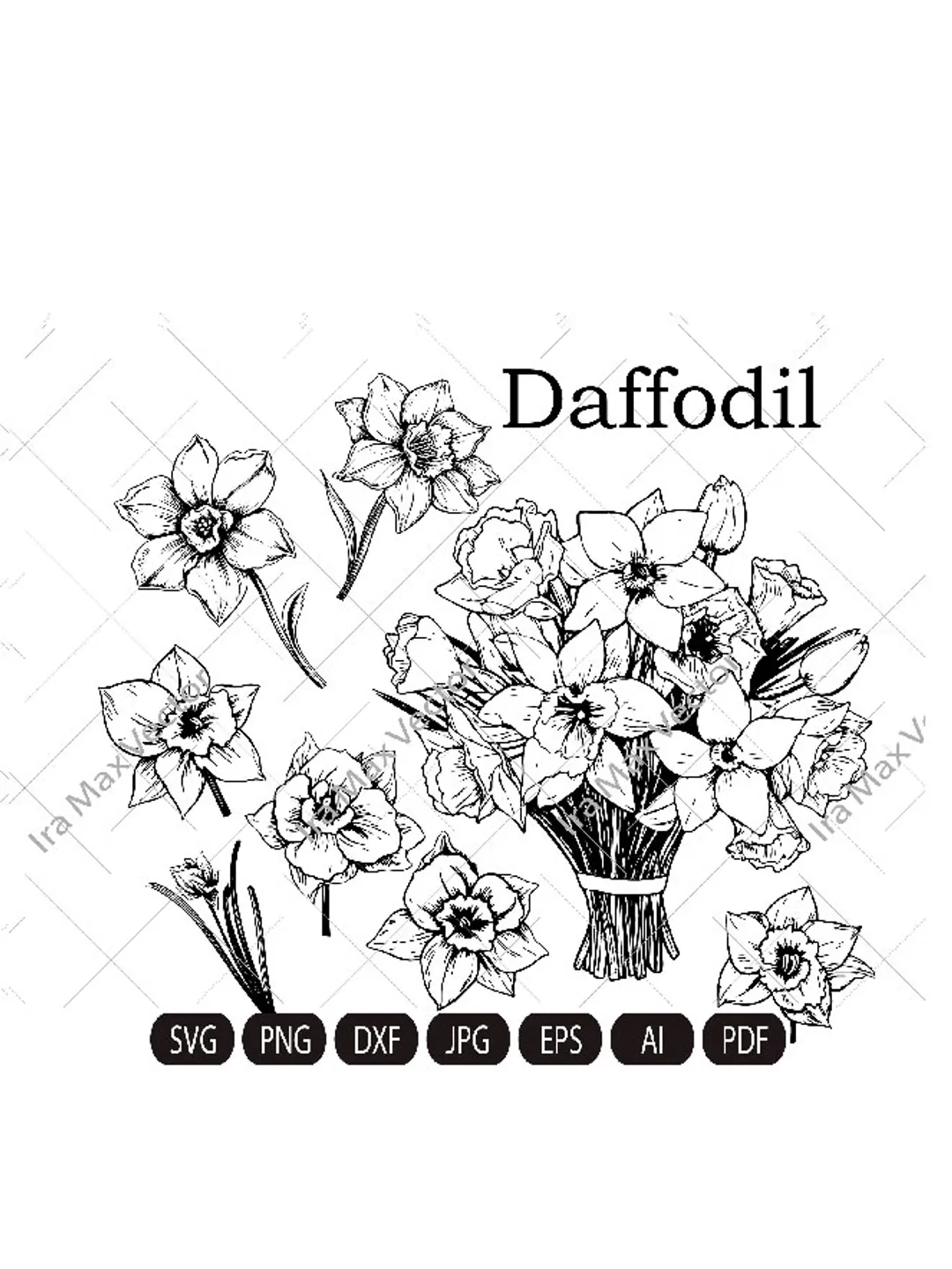 Daffodils svg, Daffodil Flowers svg, Narcissus flower bouquet svg, Birth flower svg, Spring flowers svg, png, cut file
