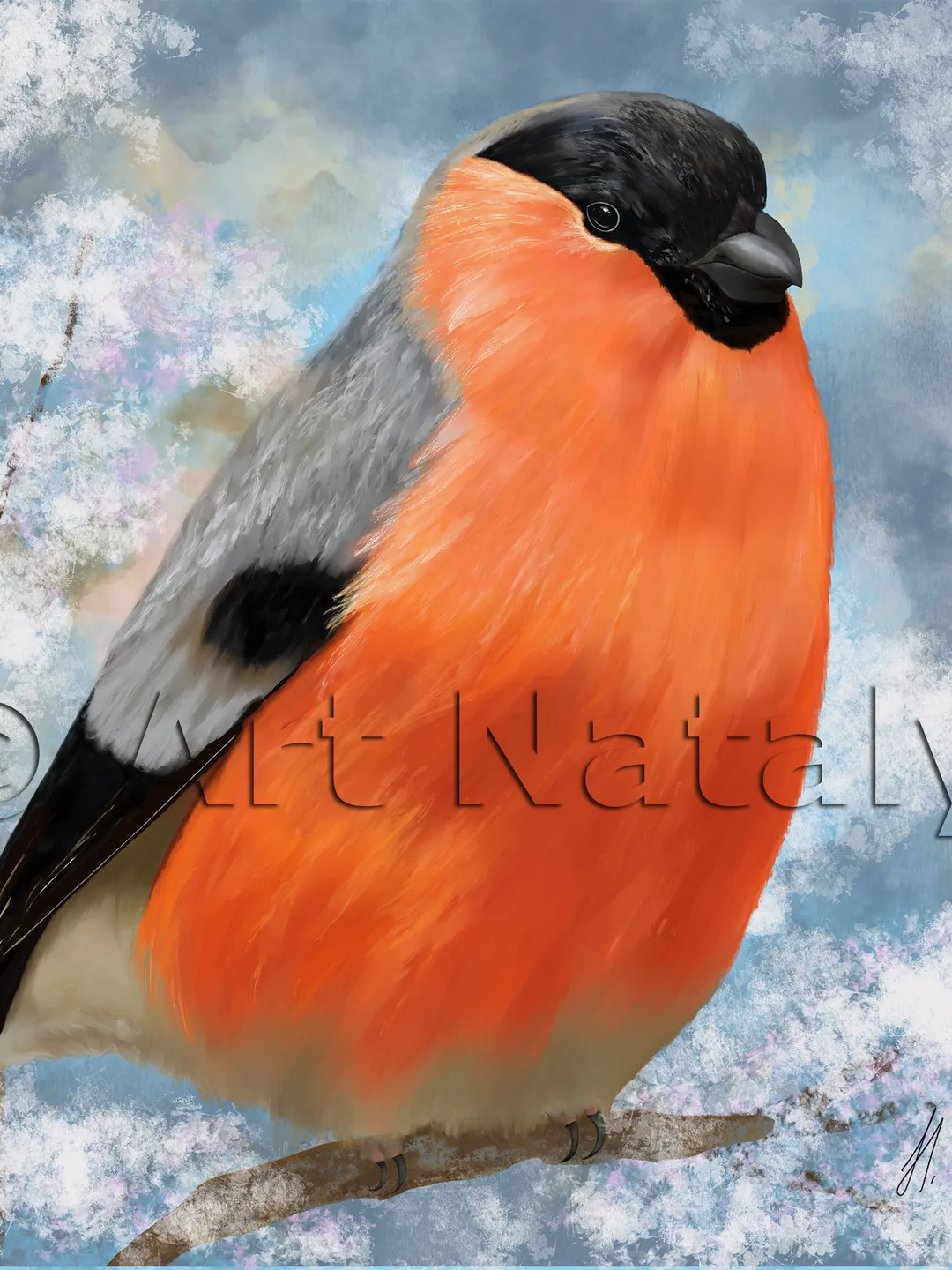 Bird bullfinch painting digital art | Bullfinch hand drawing | Cute bird drawing realistic for card, print, poster, wall art.
