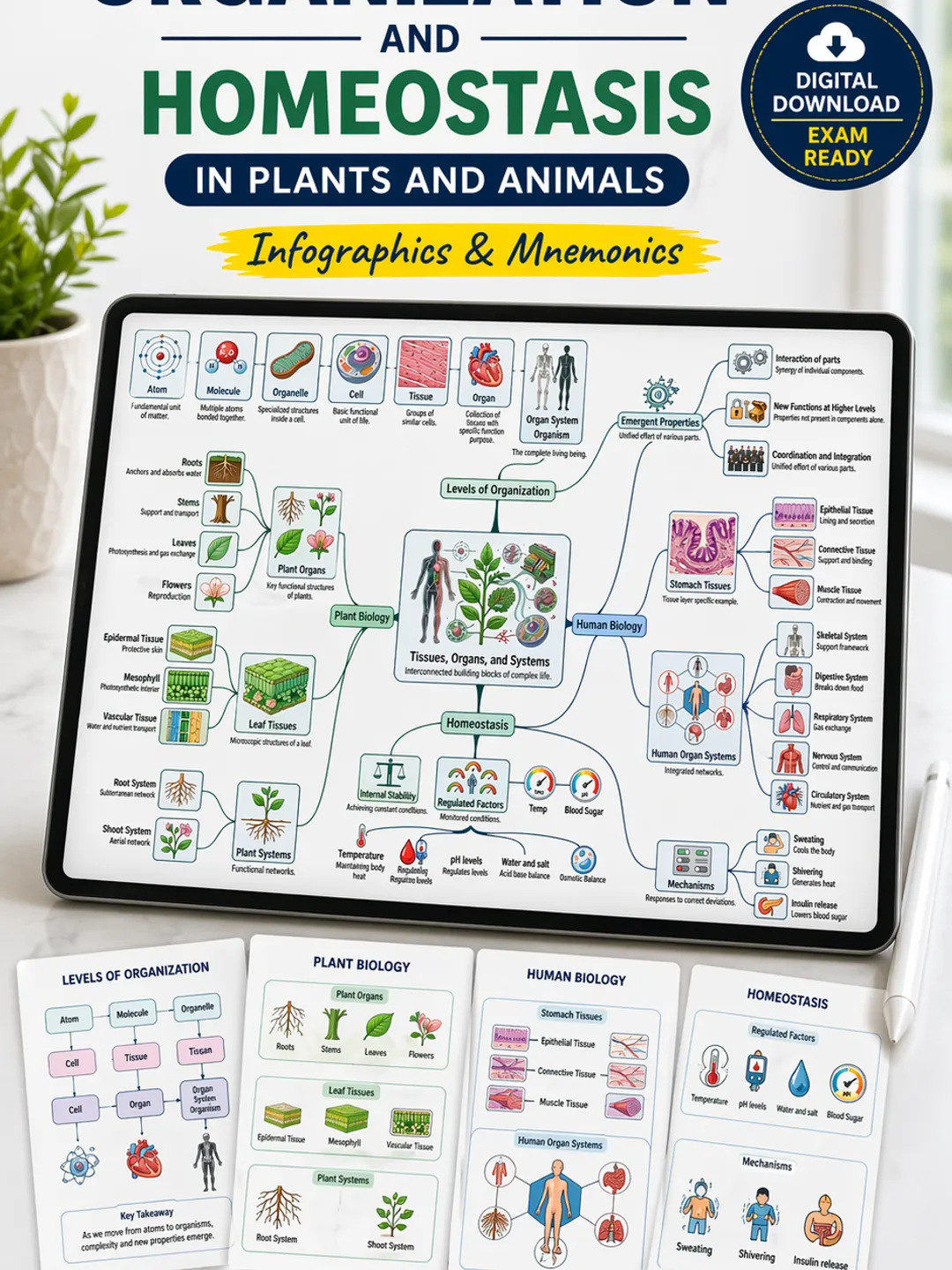 Biological Levels of Organization and Tissues Mind Map Bundle