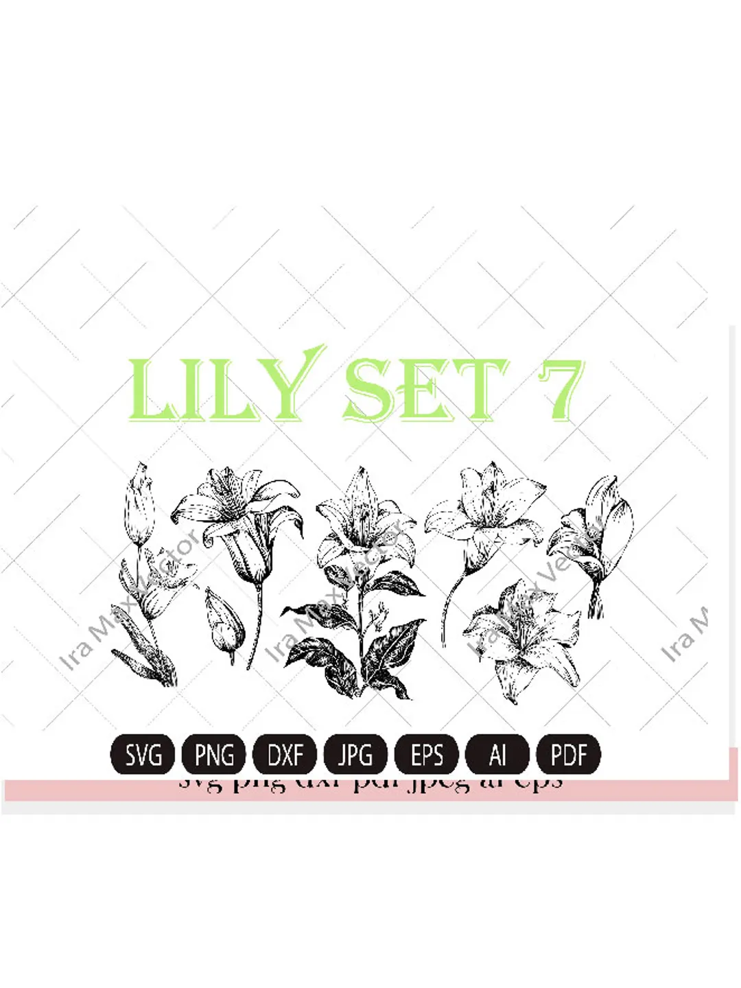 Lily Flower Svg, Lily Svg Bundle, Lily Svg, Hand Drawn Lily Svg, Flwer Bouquet Svg, Floral Svg, Flower Wedding, Flower Svg Files