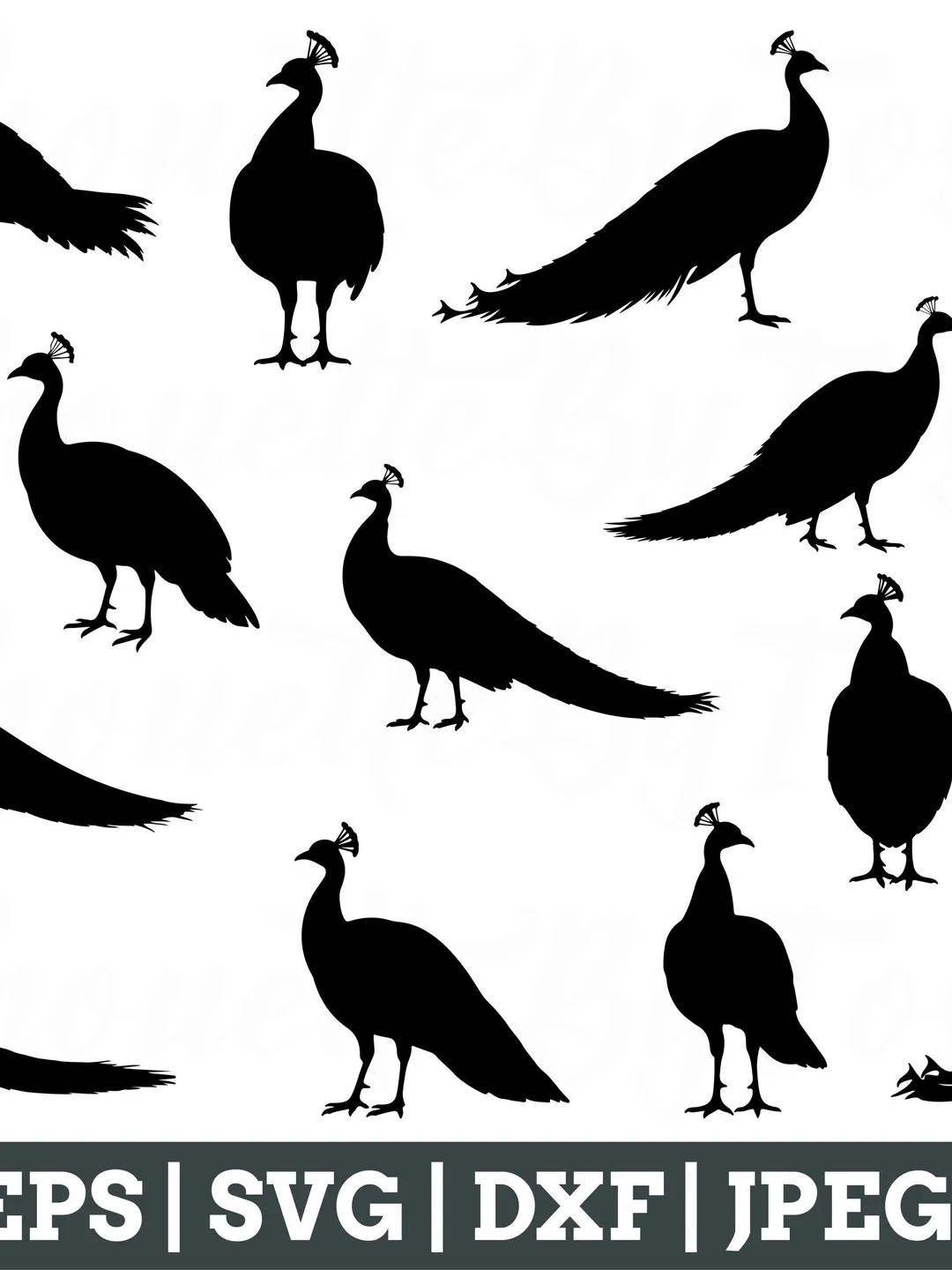 Peacock Svg, Peacock Silhouette, Peacock Vector, Peacock Cut File, Peacock Dxf, Jpeg, Png