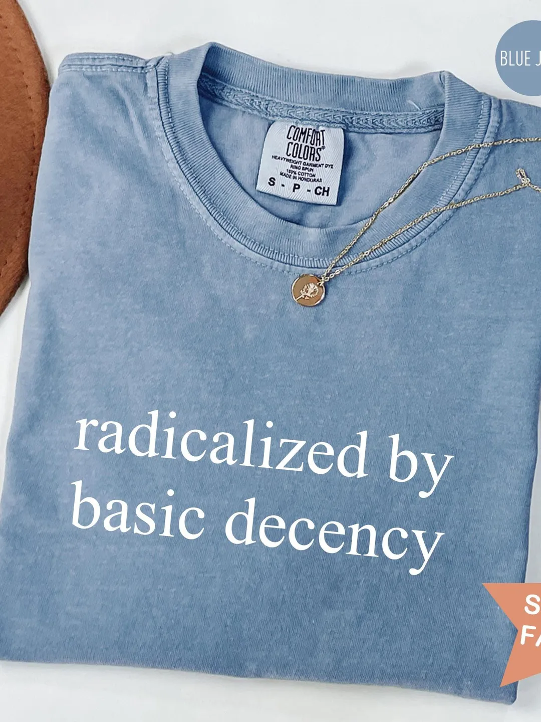 Comfort Colors® Radicalized by basic decency Shirt, Political Protest Shirt, Feminist Activist Gift, Liberal Unisex Tee, Gift for Her