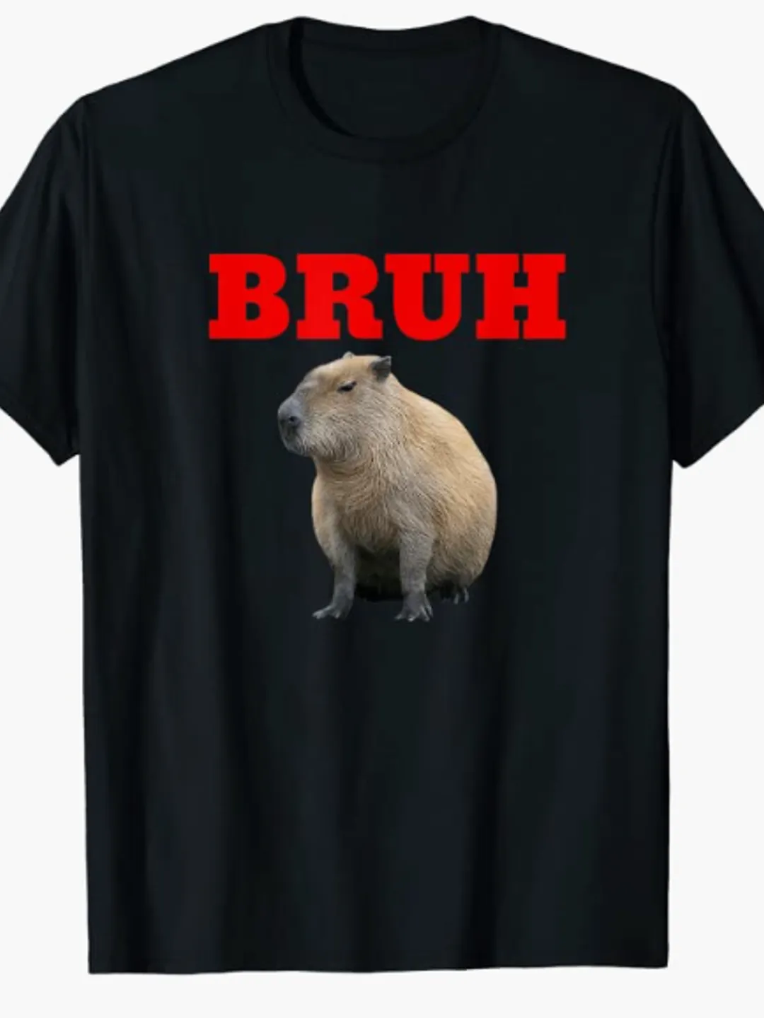 Bruh Capybara Meme Brother Funny Tshirt