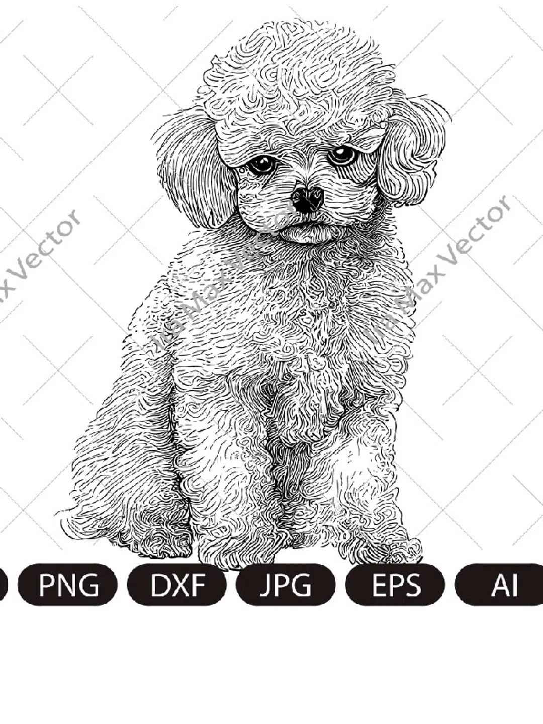 Toy Poodle Svg,Toy Poodle Clipart, Poodle Png, Poodle Head, Poodle Cut Files , Poodle Silhouette, Dog Silhouette