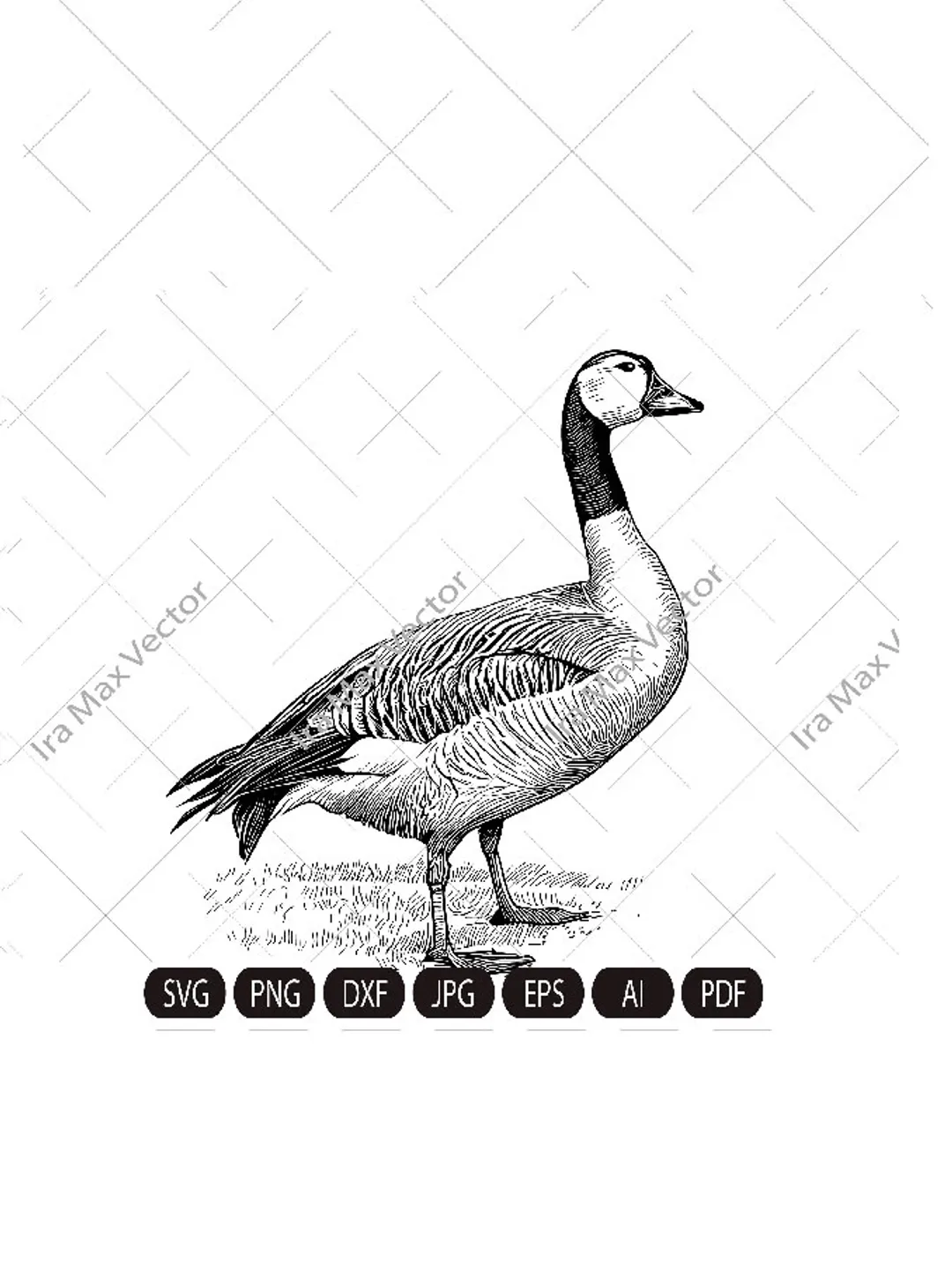Goose SVG, Goose standing,Grey Goose SVG, Goose Clipart, Goose detailed, Goose printable, Farm birds