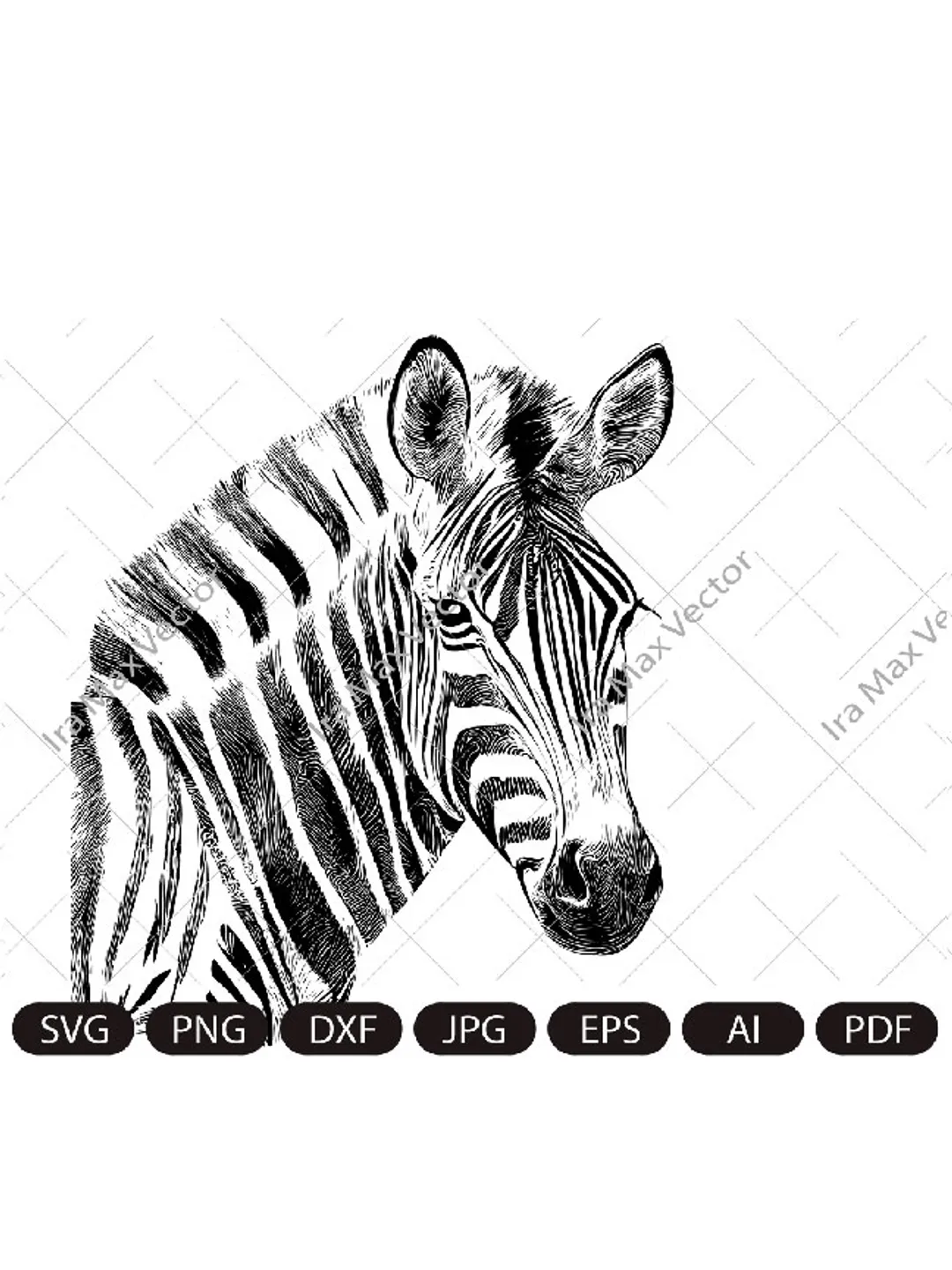 Zebra Svg, Zebra face, Zebra Clipart, Zebra Png, Zebra Head