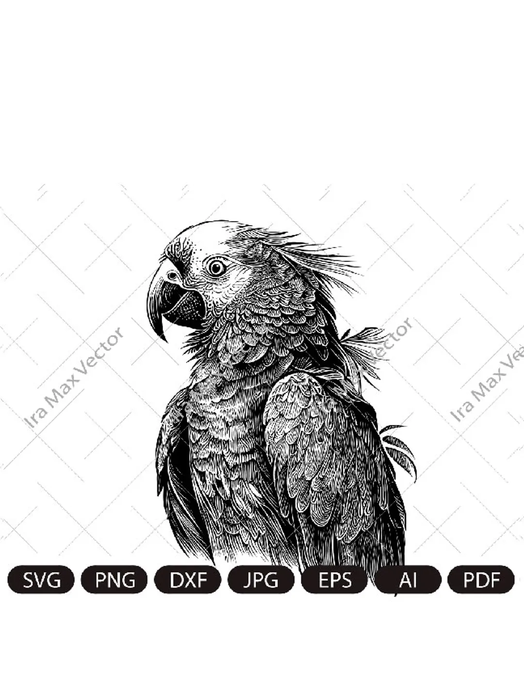 Parrot Svg, Exotic bird svg, Macaw svg, Silhouette dxf, bird Clipart, Parrot face svg, vector bird , Parrot head svg, digital file