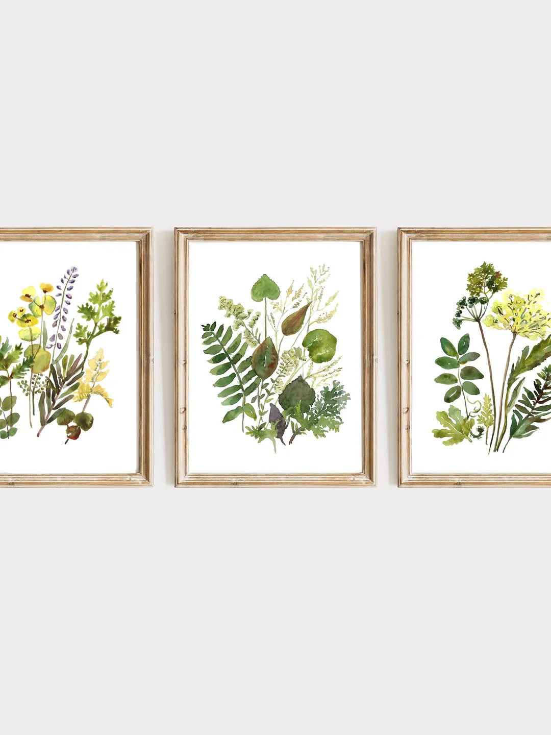 Watercolor Botanical Print Set Of 3 Floral Printable Art Gallery Wall Art Wild Flowers Art Floral Farmhouse Art Wild Flowers Minimalist Art