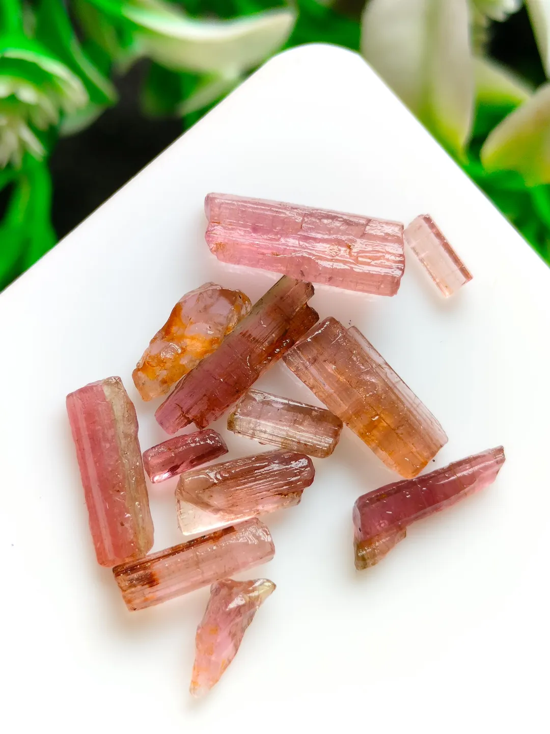 Raw Pink Tourmaline Pencil Points Gemstone 12 Healing Crystal Rods for ...