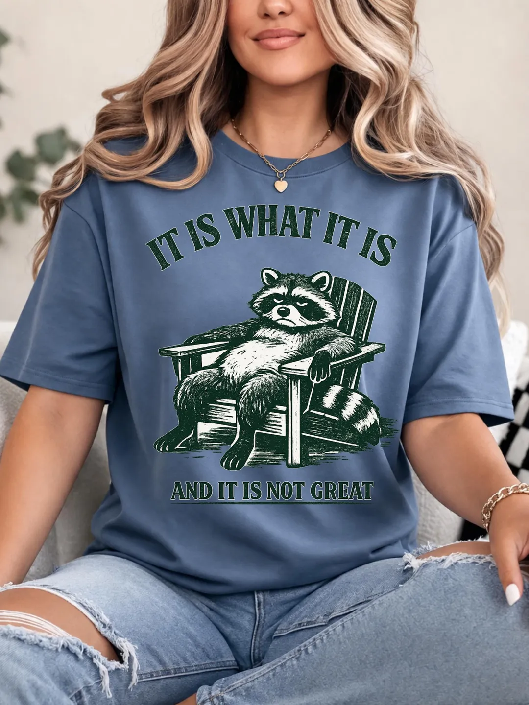 Funny Raccoon Meme PNG: It Is What It Is Not Great Existential Humor ...