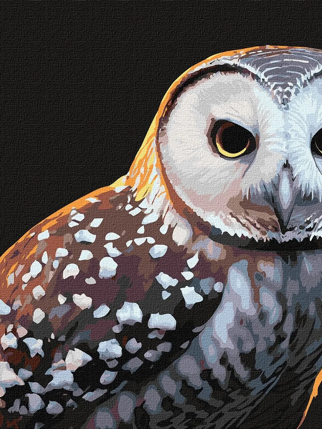 beautiful owl,night owl, forest bird,owl's look,as a gift,painting by owl,night  owl,birds of prey,owl charm,picture as a gift, image size:1080x1440