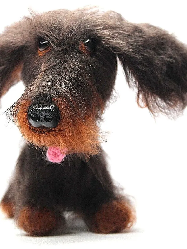 Crochet pattern dachshund dog - digital pattern PDF