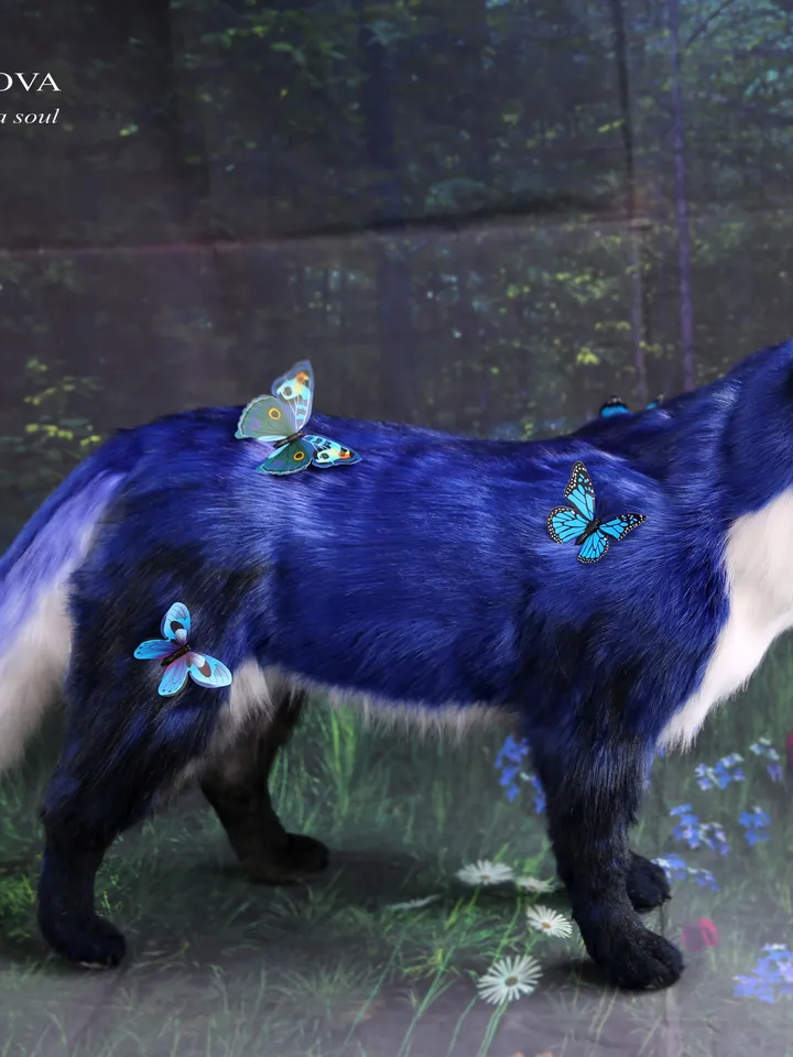 Fox realistic plush animals. Ooak toy. Blue fox stuffed toy