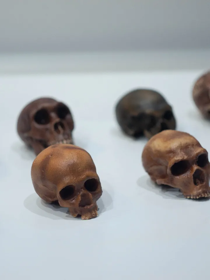 Small-Sized Set Hominid Skull &quot;Neanderthal man&quot; of Human Evolution, 3D Printed for Collection, Home Decor Museum Quality Anthropology Models