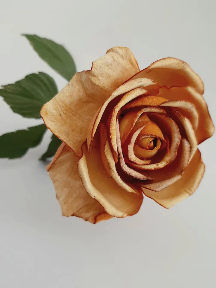 Yellow leather rose long stem 3rd anniversary gift for her, Leather flower living room decor