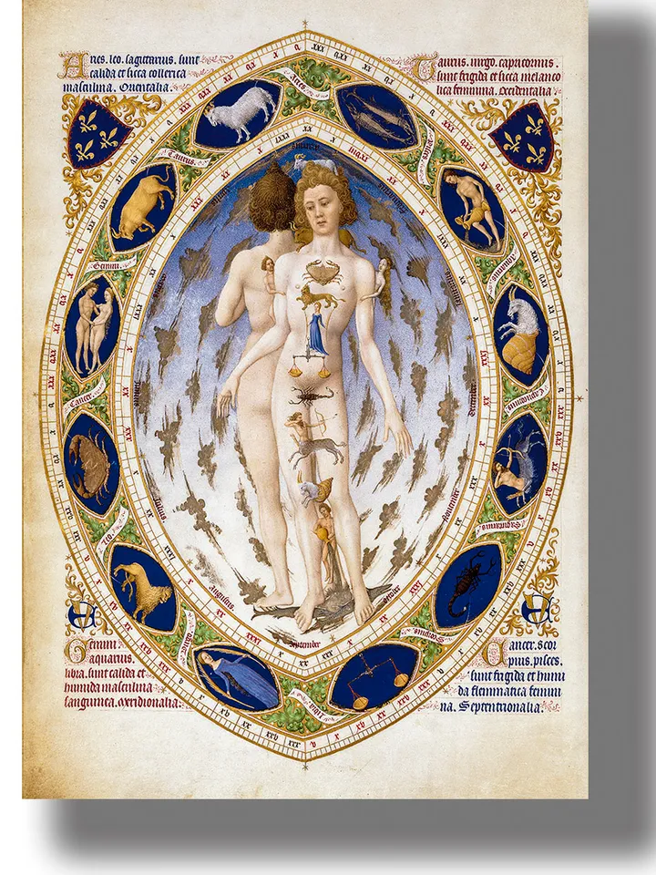Human anatomy or signs of the zodiac. Astrological symbols art print.