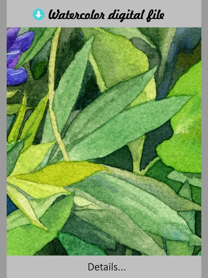 Watercolor digital print Purple Lupine Flowers, wildflowers