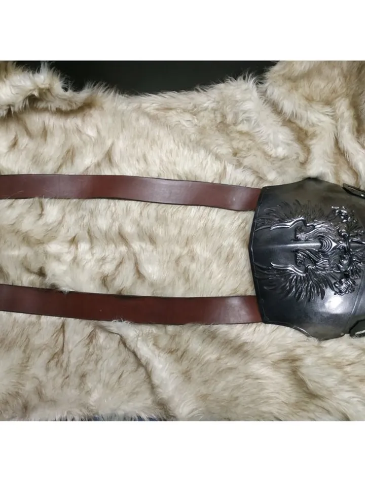 Dragon Age - guard costume - captain of the guard - Dragon Age cosplay - Dragon