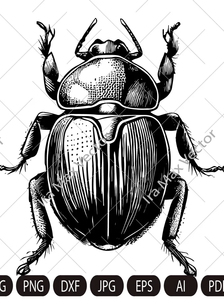 Scarab, Beetle Logo Svg , Bug Svg, Scarab Svg, Dung Beetle Svg, Egyptian Beetle Svg, Insects Clipart Svg , Clip Art, silhouette