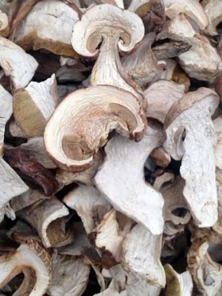 DRIED WHITE MUSHROOMS (Boletus) EXTRA 1 kg ( 35.27 oz )