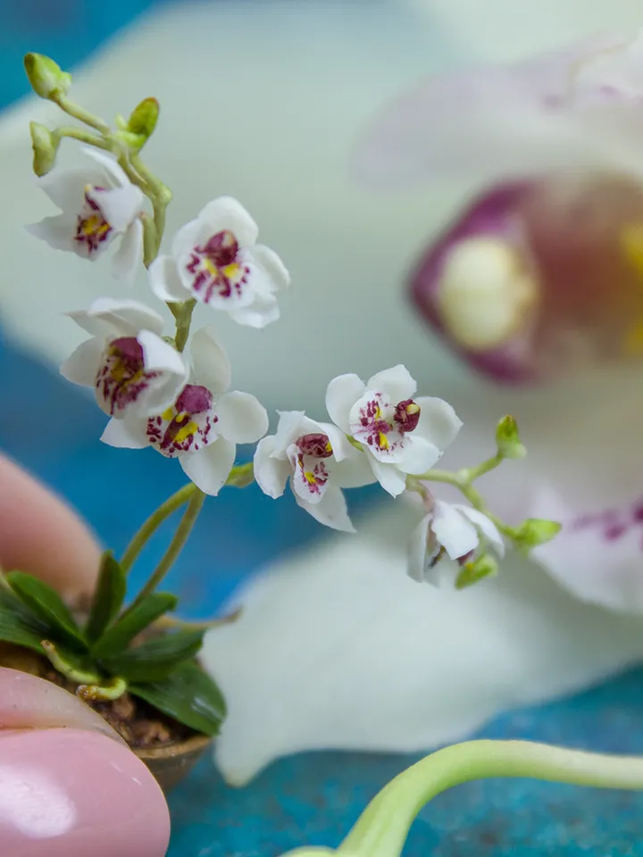 TUTORIAL Miniature orchid with air dry clay
