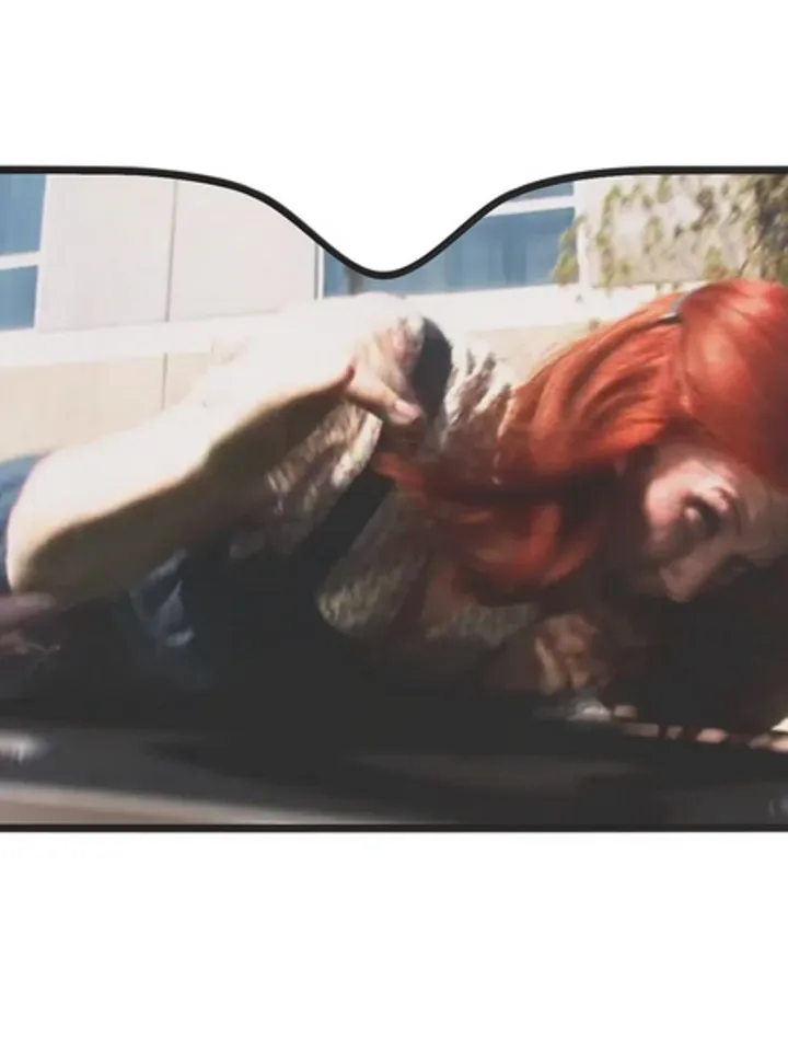 Meredith Palmer Gets Hit By a Car Office Car Sun Shade