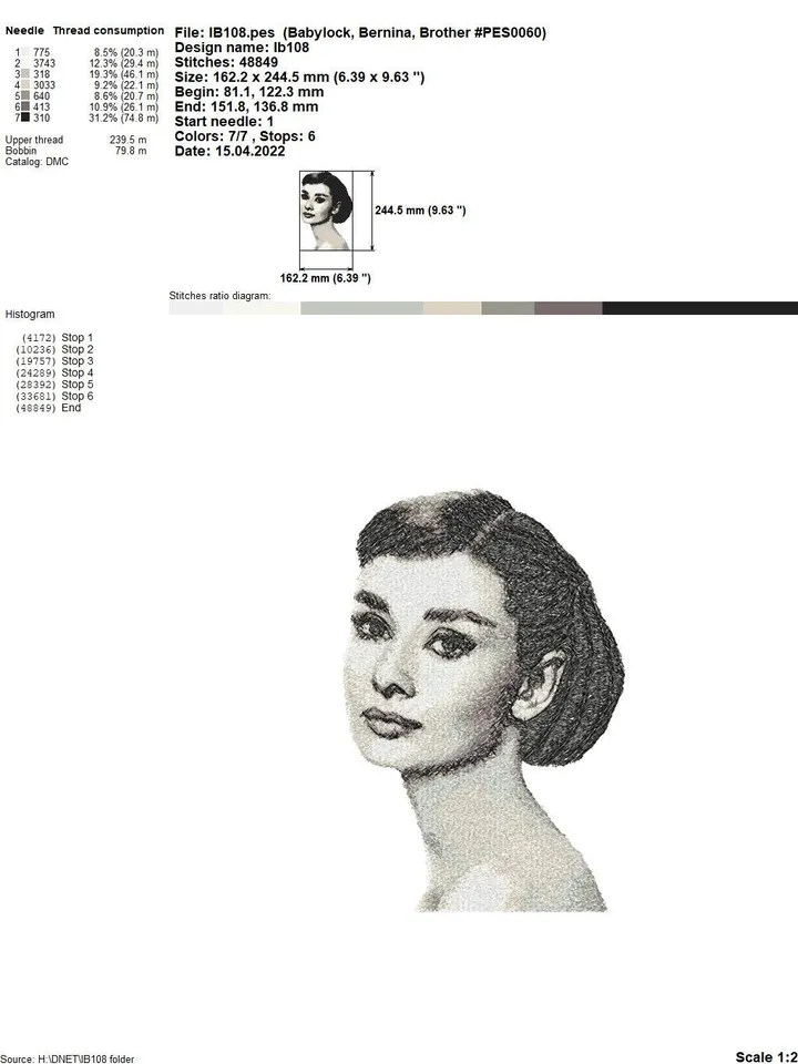 PhotoStitch Audrey machine embroidery designs digital embroidery pattern PhotoStitch Machine embroidery motif  Woman embroidery pattern