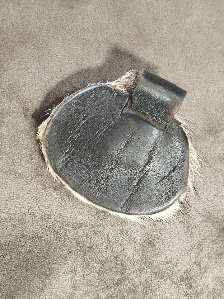 Wolf's Eye Amulet