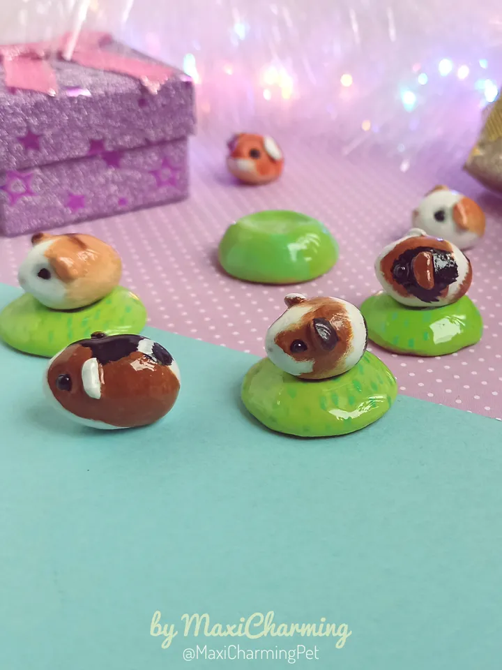 A guinea pig of random color from those shown (pre-order)