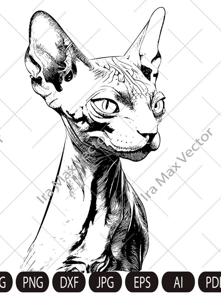 Sphinx Cat Svg, Sphinx Cat face , Sphinx Cat head , Sphinx Cat Files, Sphinx Cat Silhouette, Sphinx Cat Design File Cutting File
