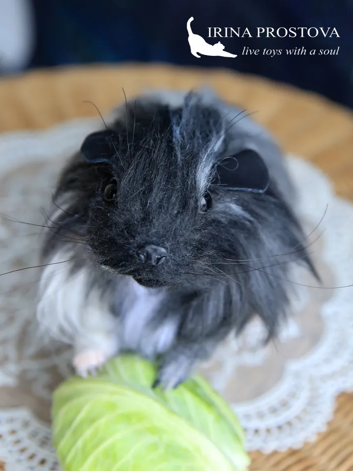 Guinea pig Tuffy .Plush animals. Ooak toy. Guinea pig stuffed toy