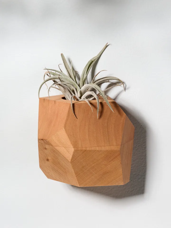 Set of 4 Cherry Geometric Air Plant Holder