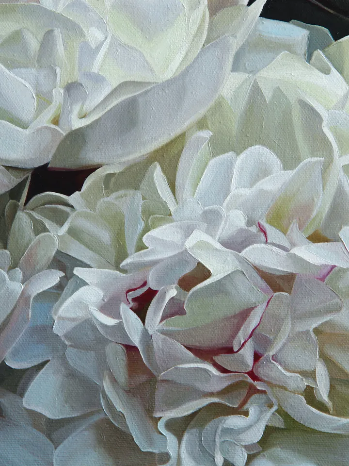 White peonies oil painting