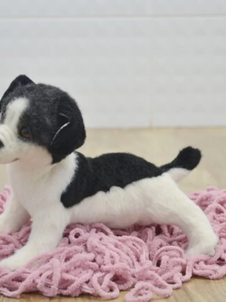 Stuffed toy puppy.