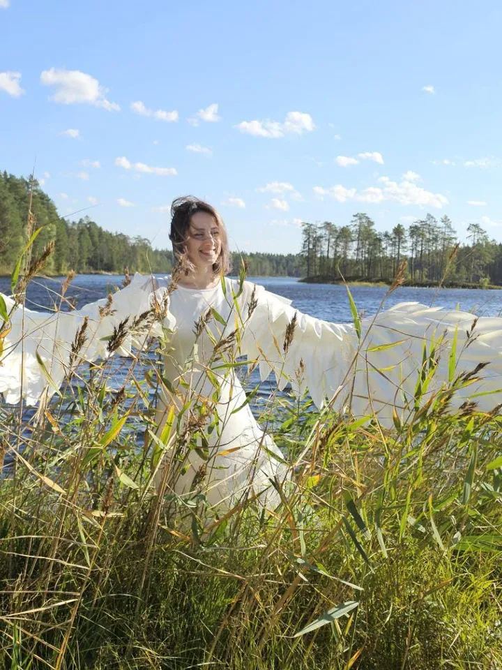 White wings, Christmas wings, sleeves, arms wings, gloves, poultry wings, swan