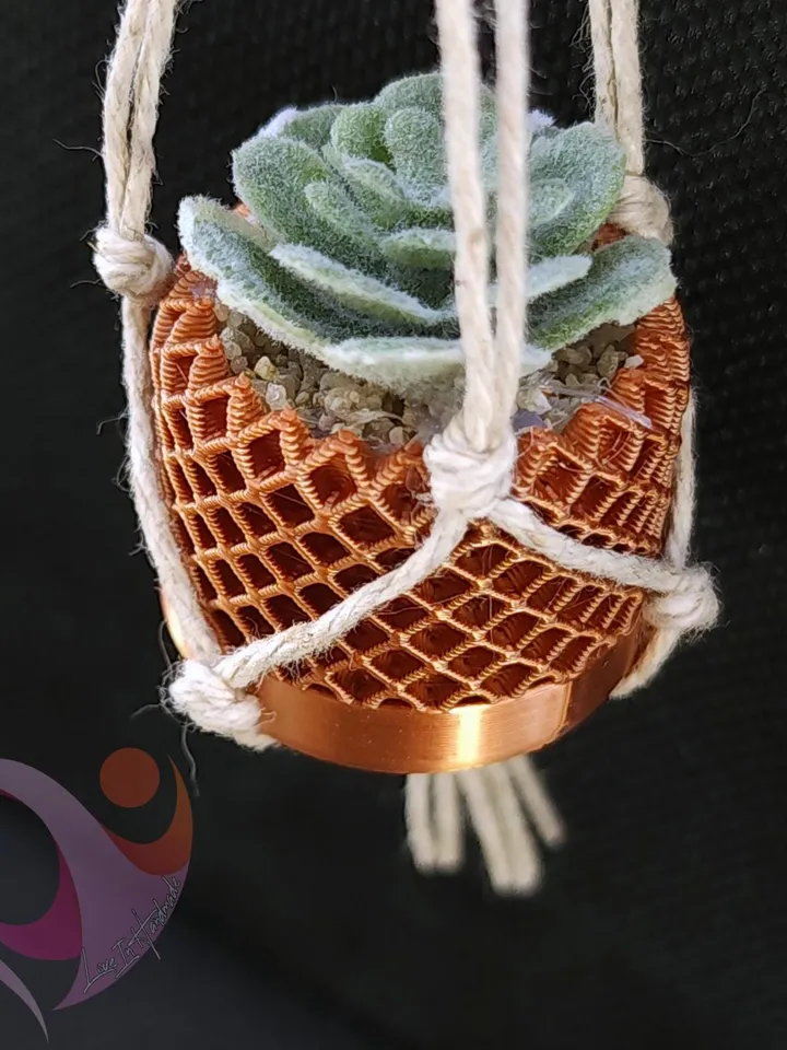 Mini Succulent Refrigerator Magnet Tiny Macrame Succulent Hanging Plant Fridge Magnet for Plant Lover Boho Kitchen Decor Cute Gift Under 10