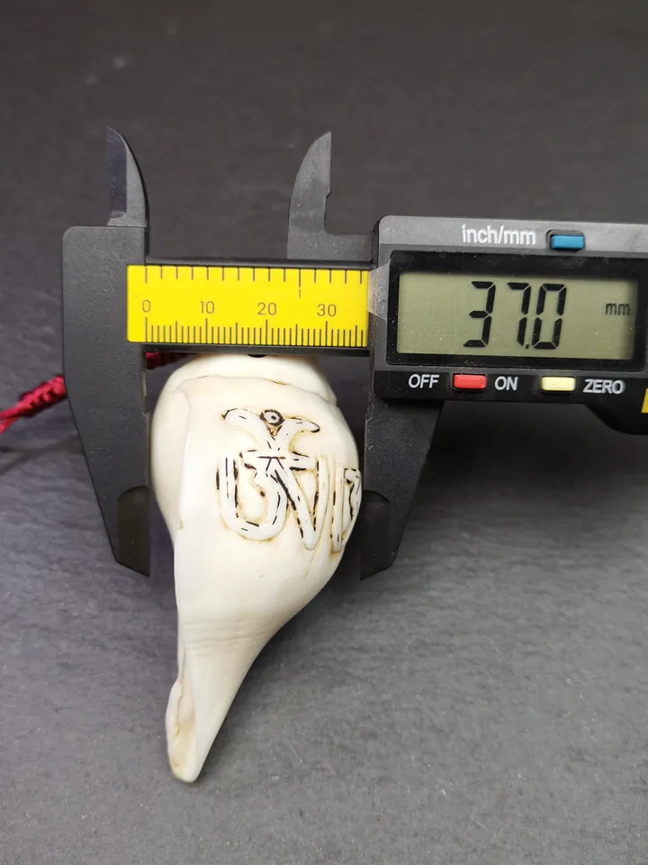 Gandhanra Tibetan Buddhism Amulet,Hand Carved White Conch Shankha with OM Letters,Tibetan Ritual Implement