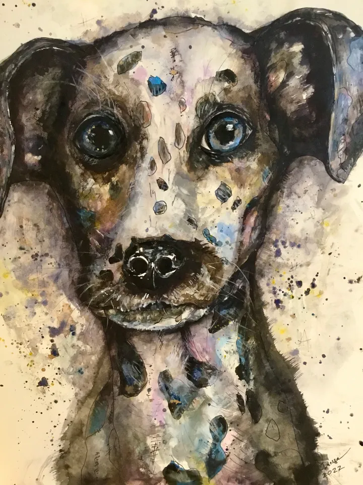 Dalmatian dog original watercolour painting,funny animals painting,dog wall decoration.watercolour wall art,kids room decoration.