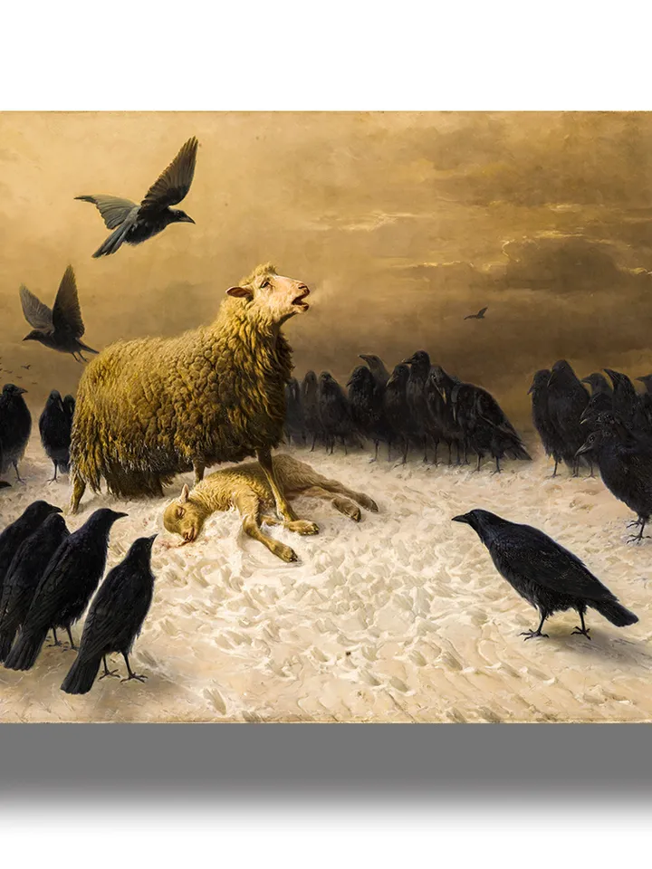 Anguish. Gloomy picture of a sheep with a dead lamb surrounded by ravens.
