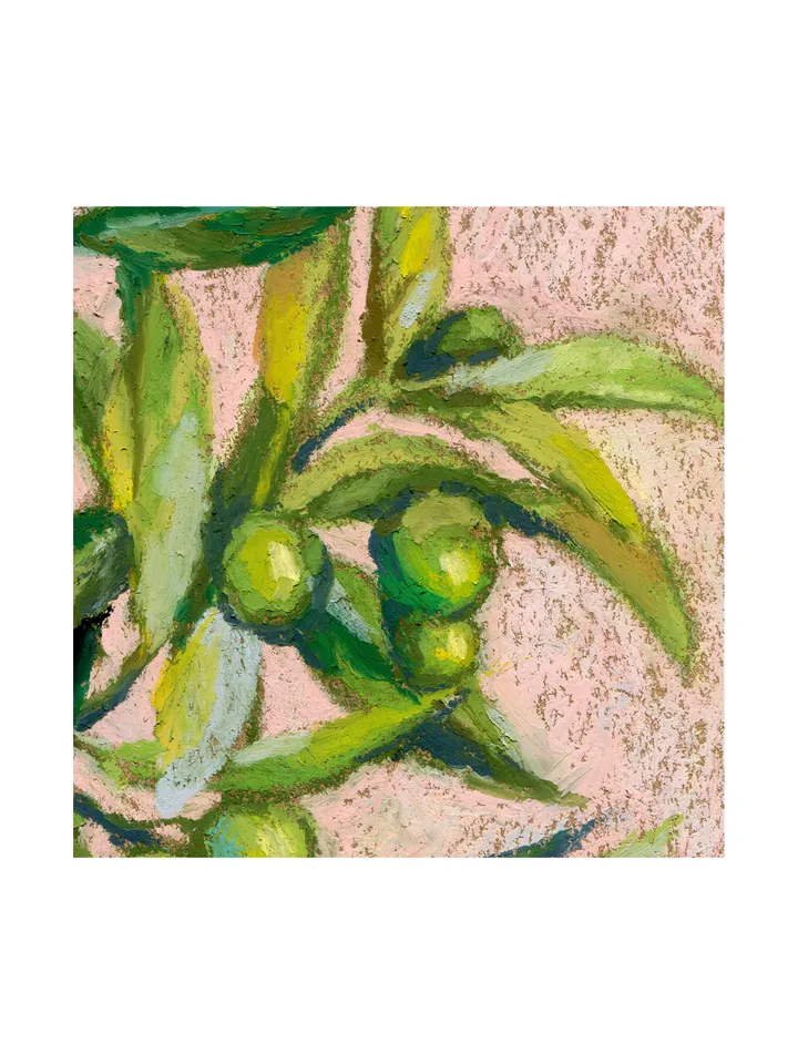 Olive Branch oil pastel drawing on kraft paper А4