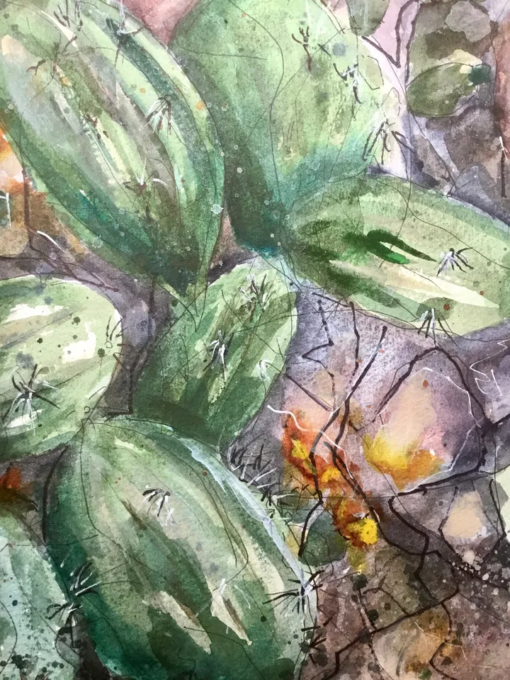 Cactus flower,original watercolour mix media painting on watercolour paper,original and prints available.