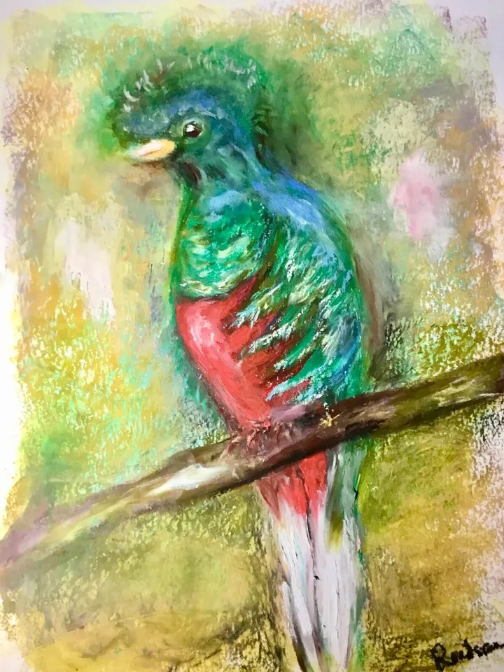 Quetzal bird,original oil pastel painting,exotic birds painting,colourful oil pastel painting,affordable art,wall decoration gift.