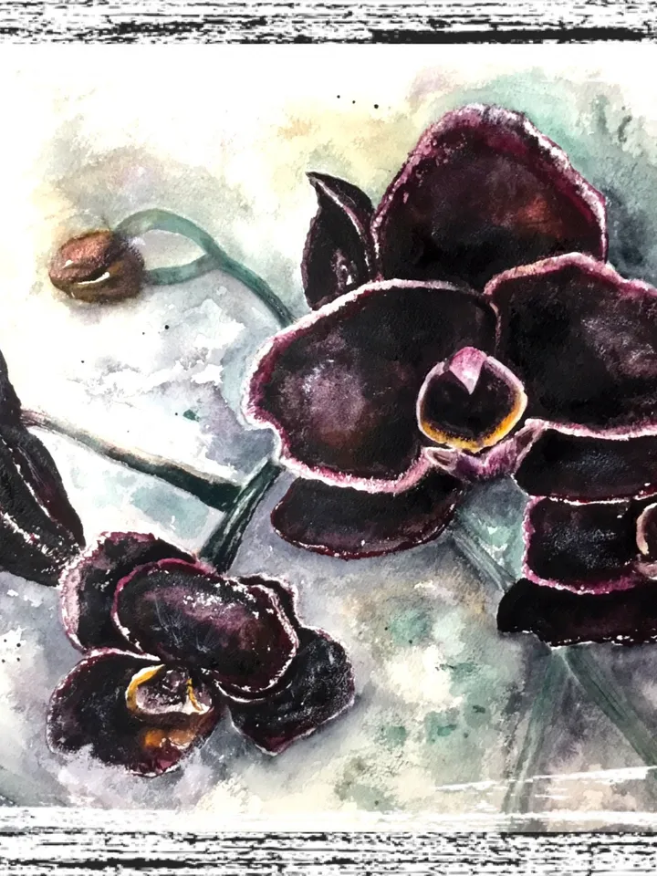 Black orchids,original watercolour painting,orchids wall art,watercolor flowers wall decoration.