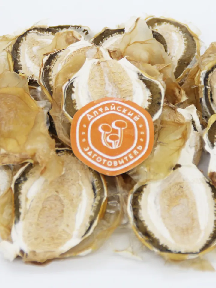 Veselka mushroom, 30 gr.(1.1 oz)