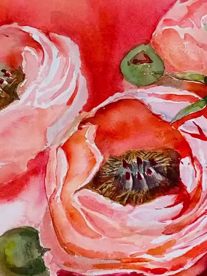 Peony, Peonies, Peony flowers, Peony painting, Flower line drawing, floral art, Original watercolor, natural watercolor, Flower illustration