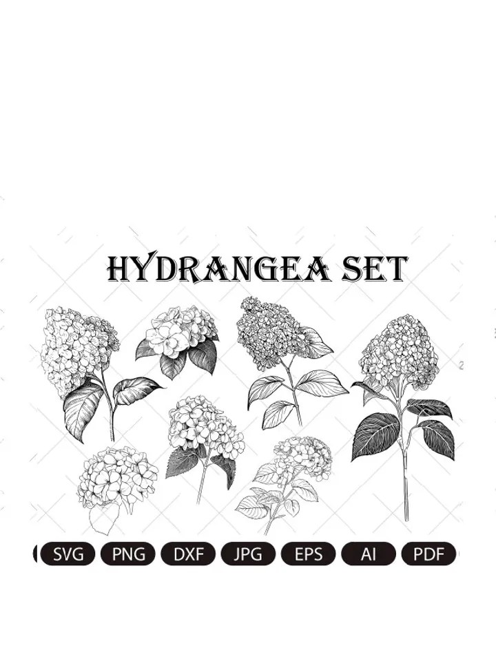 Hydrangea SVG, Hydrangea PNG , Vintage Botanical Line Art, Clip Art, sublimation, Logo Design, Engraving