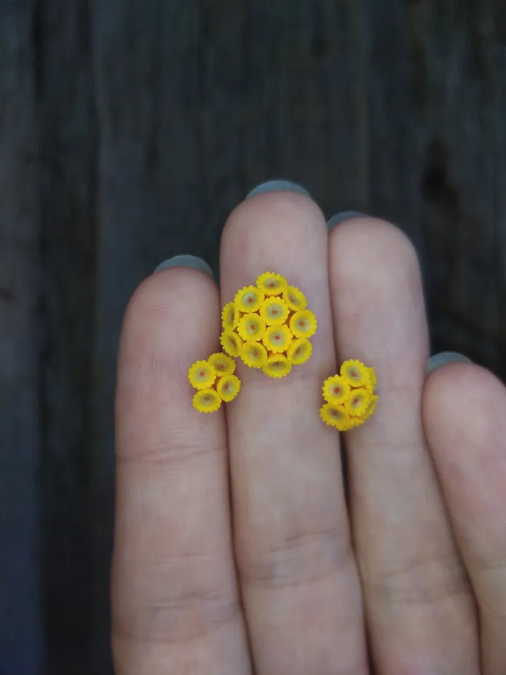 Set of miniature corals shades of yellow, tiny corals for diorama, dollhouse or resin art