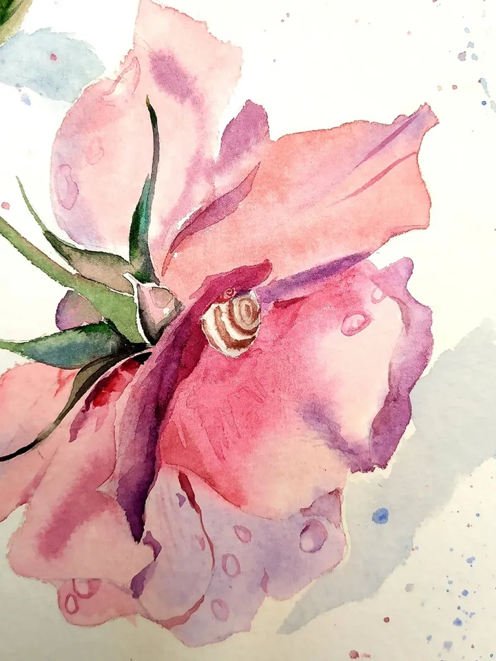 Rose Painting Floral original art 12 by 12 Red Flower watercolor square wall art Rose aquarelle by Natalia Plotnikova